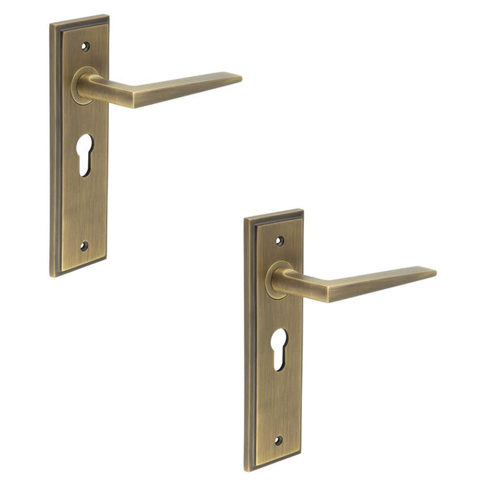 PACK Elegant Antique Brass Door Handle with Euro Backplate Solid Brass Interior Handle (4)