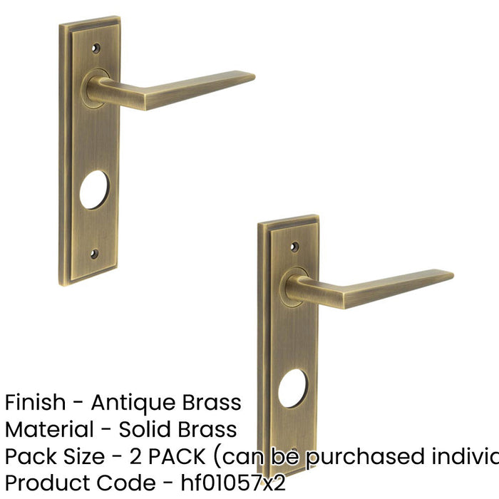 PACK Antique Brass Door Handle with Backplate Bathrooms Solid Brass Interior Handle (3)-1