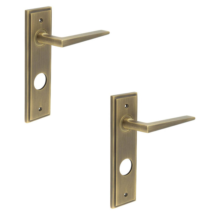 PACK Antique Brass Door Handle with Backplate Bathrooms Solid Brass Interior Handle (3)