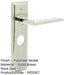 Polished Nickel Bathroom Door Handle with Backplate Stylish Durable Solid Brass Interior Handle-1