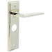 Polished Nickel Bathroom Door Handle with Backplate Stylish Durable Solid Brass Interior Handle