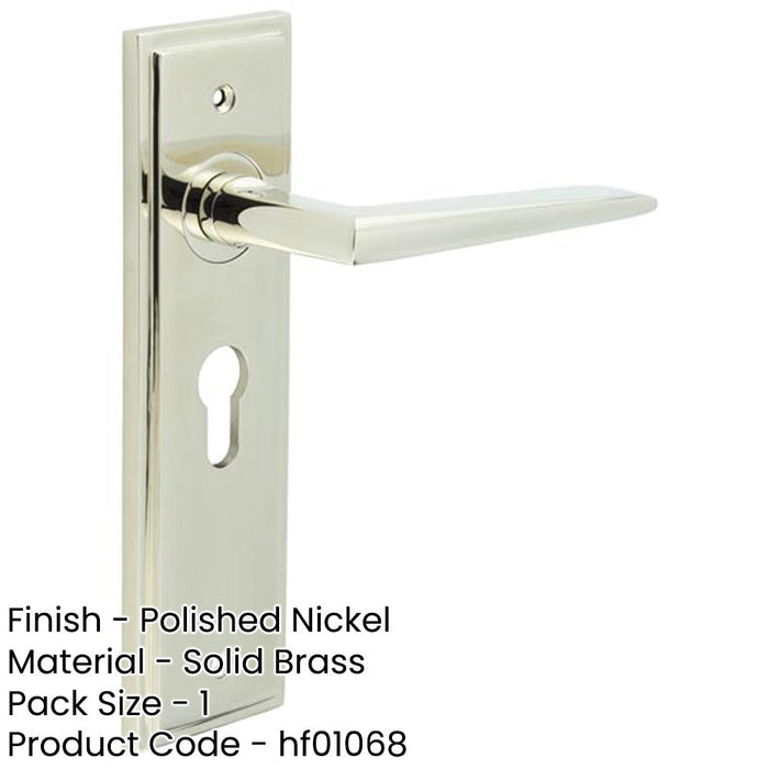 Stylish Polished Nickel Euro Door Handle with Backplate Solid Brass Interior Handle-1