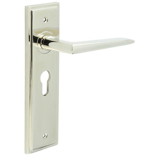 Stylish Polished Nickel Euro Door Handle with Backplate Solid Brass Interior Handle