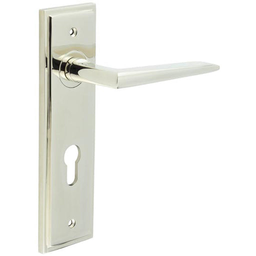 Elegant Polished Nickel Door Handle with Euro Backplate Solid Brass Interior Handle