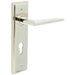 Elegant Polished Nickel Door Handle with Euro Backplate Solid Brass Interior Handle