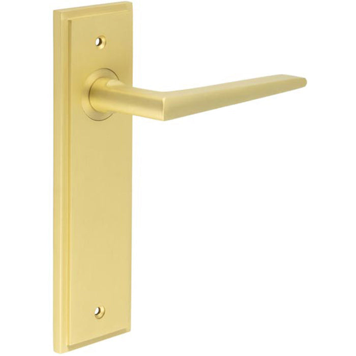 Satin Brass Door Handle Latch Backplate Elegant Durable Design Solid Brass Interior Handle