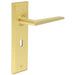 Satin Brass Door Handle Lock Backplate Modern Homes Solid Brass Interior Handle