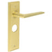 Satin Brass Bathroom Door Handle with Backplate Elegant Durable Design Solid Brass Interior Handle