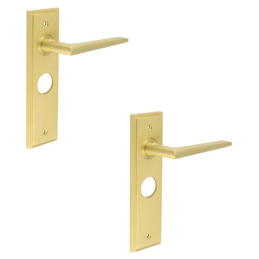 PACK Satin Brass Bathroom Door Handle with Backplate Elegant Durable Design Solid Brass Interior Handle (1)