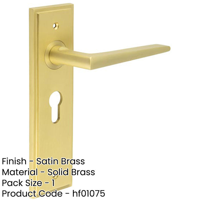 Satin Brass Euro Lock Door Handle with Backplate Elegant Durable Design Solid Brass Interior Handle-1