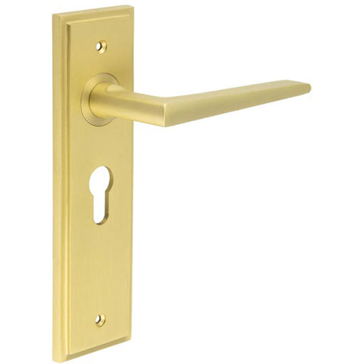 Satin Brass Euro Lock Door Handle with Backplate Elegant Durable Design Solid Brass Interior Handle