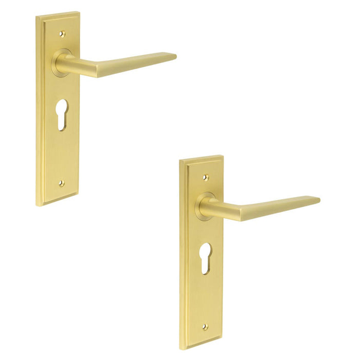 PACK Satin Brass Euro Lock Door Handle with Backplate Elegant Durable Design Solid Brass Interior Handle (1)