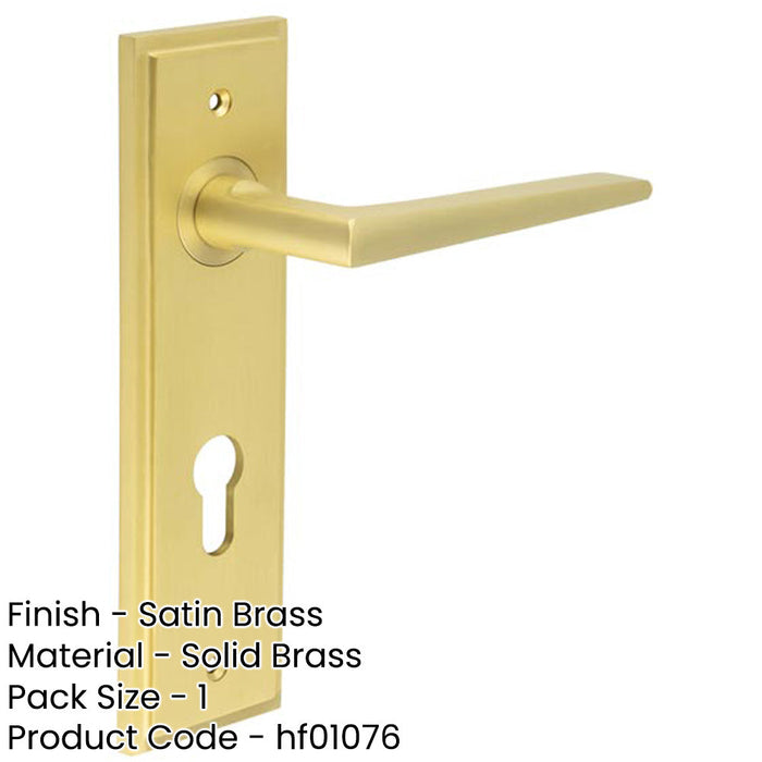 Satin Brass Euro Backplate Door Handle Modern Luxury Solid Brass Interior Handle-1