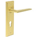 Satin Brass Euro Backplate Door Handle Modern Luxury Solid Brass Interior Handle