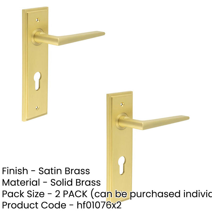 PACK Satin Brass Euro Backplate Door Handle Modern Luxury Solid Brass Interior Handle (1)-1