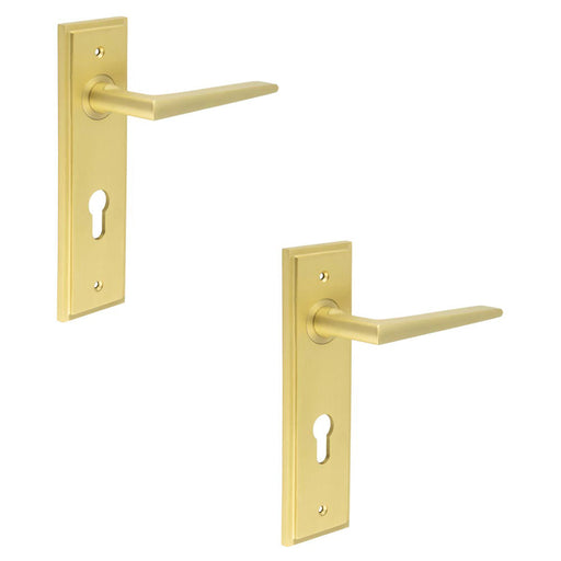 PACK Satin Brass Euro Backplate Door Handle Modern Luxury Solid Brass Interior Handle (1)