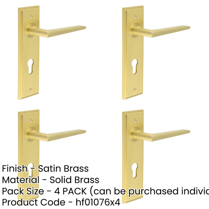 PACK Satin Brass Euro Backplate Door Handle Modern Luxury Solid Brass Interior Handle-1