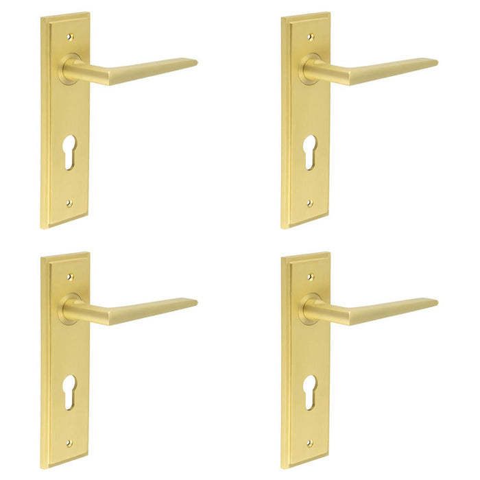 PACK Satin Brass Euro Backplate Door Handle Modern Luxury Solid Brass Interior Handle