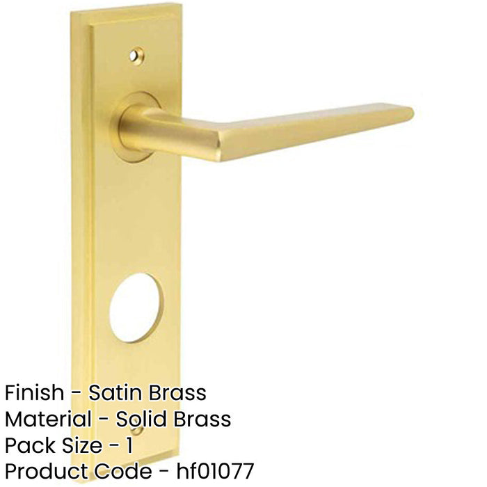 Satin Brass Bathroom Door Handle with Backplate Solid Brass Interior Handle-1