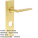 Satin Brass Bathroom Door Handle with Backplate Solid Brass Interior Handle-1