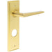 Satin Brass Bathroom Door Handle with Backplate Solid Brass Interior Handle