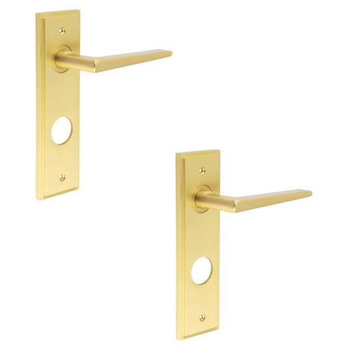 PACK Satin Brass Bathroom Door Handle with Backplate Solid Brass Interior Handle (2)