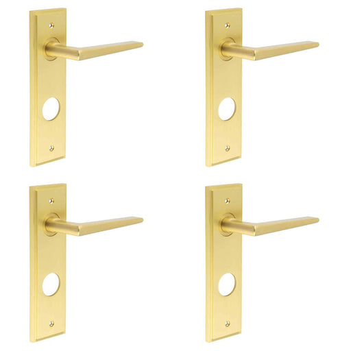 PACK Satin Brass Bathroom Door Handle with Backplate Solid Brass Interior Handle