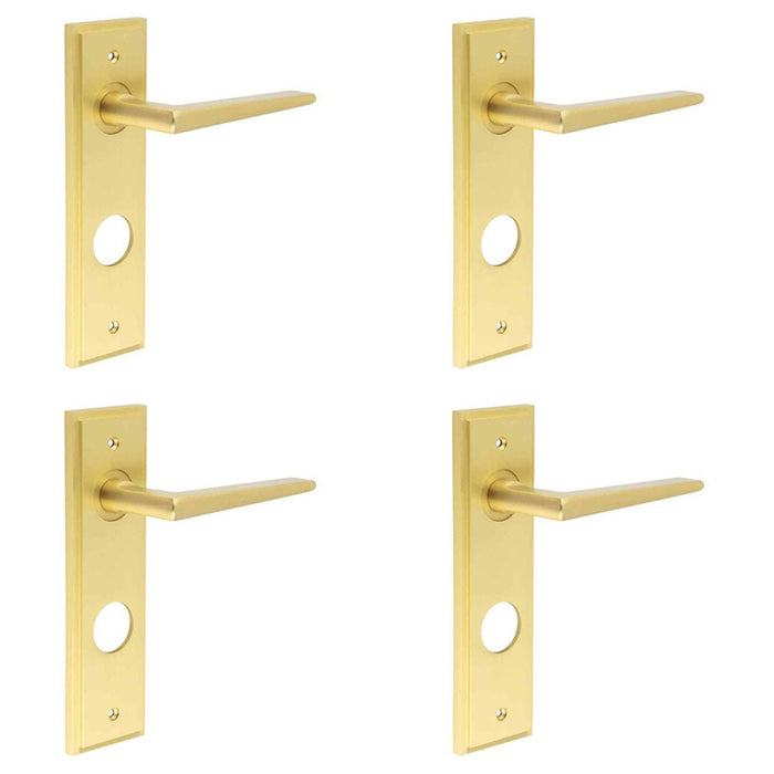 PACK Satin Brass Bathroom Door Handle with Backplate Solid Brass Interior Handle