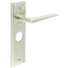 Satin Nickel Bathroom Door Handle with Backplate Elegant Design Modern Homes Solid Brass Interior Handle