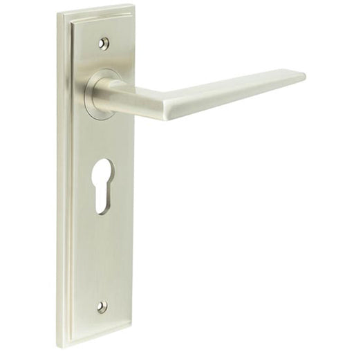 Satin Nickel Euro Lock Door Handle with Backplate Elegant Durable Design Solid Brass Interior Handle