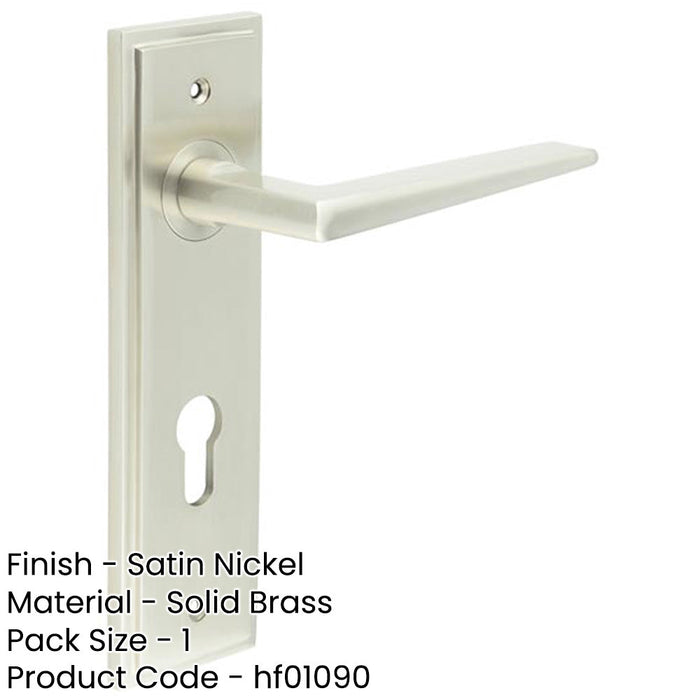 Satin Nickel Door Handle with Euro Backplate Modern Homes Solid Brass Interior Handle-1