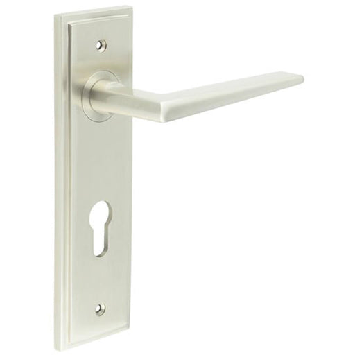 Satin Nickel Door Handle with Euro Backplate Modern Homes Solid Brass Interior Handle