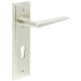 Satin Nickel Door Handle with Euro Backplate Modern Homes Solid Brass Interior Handle