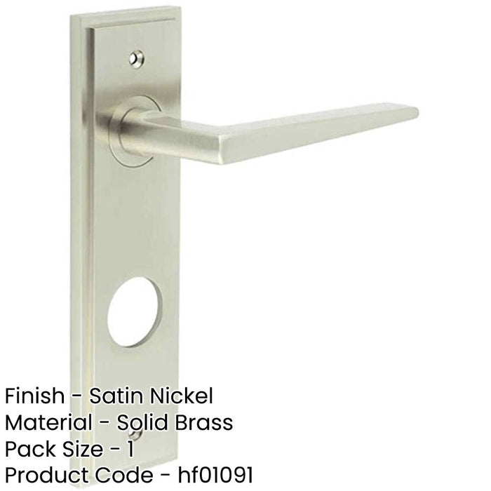 Elegant Satin Nickel Bathroom Door Handle with Backplate Solid Brass Interior Handle-1