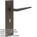 Dark Bronze Lever Door Handle Lock Backplate Modern Homes Solid Brass Interior Handle-1