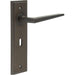 Dark Bronze Lever Door Handle Lock Backplate Modern Homes Solid Brass Interior Handle