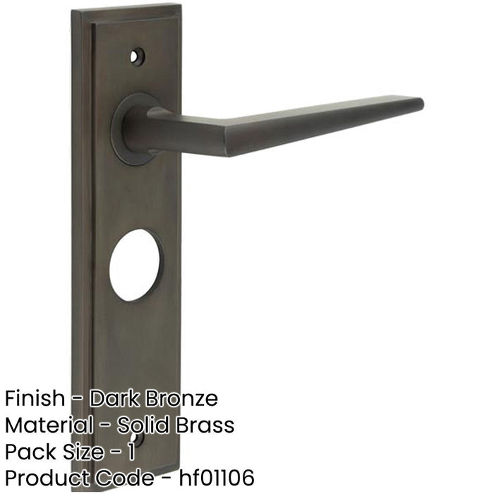 Elegant Dark Bronze Bathroom Door Handle with Backplate Solid Brass Interior Handle-1