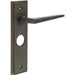 Elegant Dark Bronze Bathroom Door Handle with Backplate Solid Brass Interior Handle