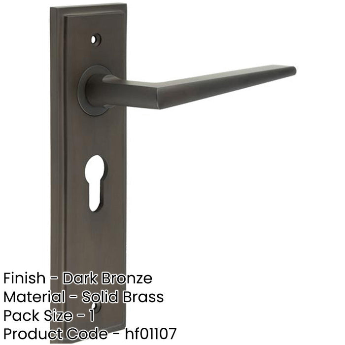 Luxury Dark Bronze Euro Backplate Door Handle Modern Homes Solid Brass Interior Handle-1