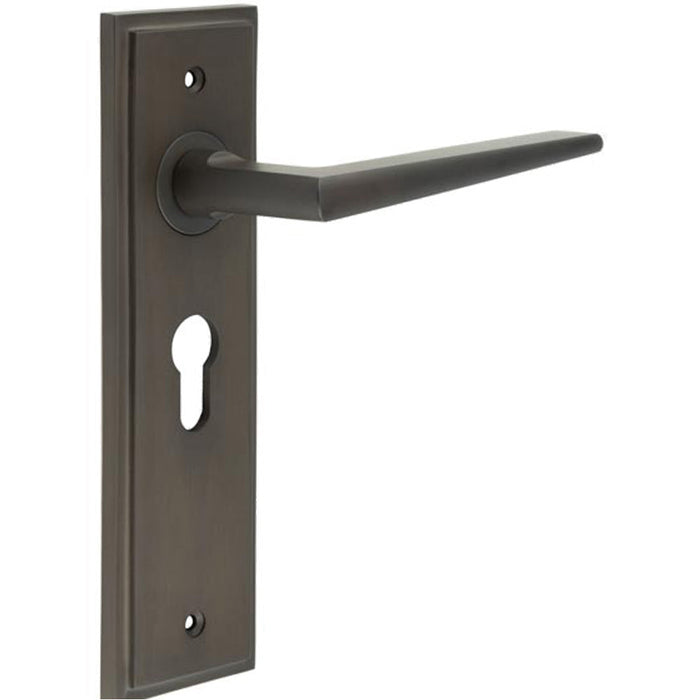 Luxury Dark Bronze Euro Backplate Door Handle Modern Homes Solid Brass Interior Handle