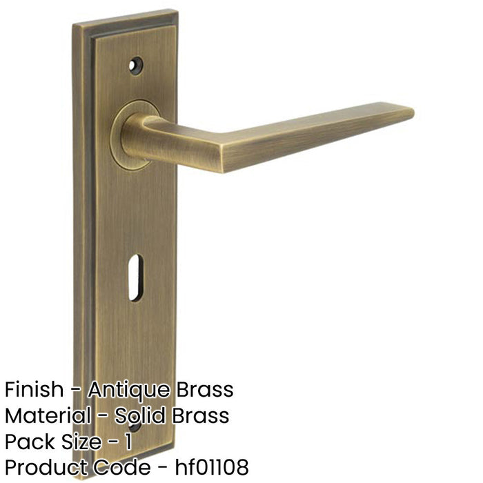 Stylish Antique Brass Door Handle Lock Backplate Modern Homes Solid Brass Interior Handle-1