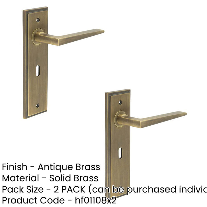 PACK Stylish Antique Brass Door Handle Lock Backplate Modern Homes Solid Brass Interior Handle (1)-1