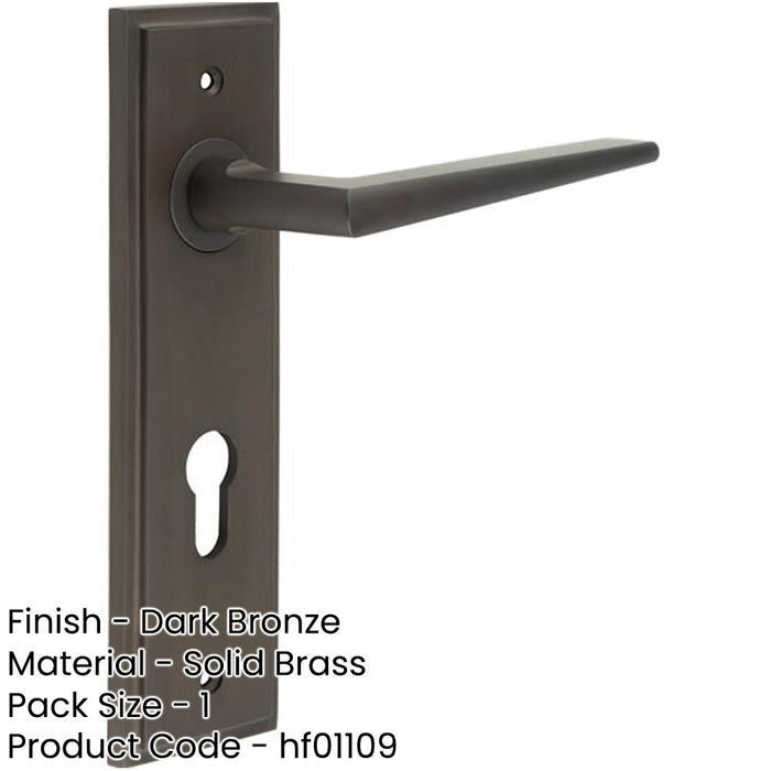 Elegant Dark Bronze Euro Backplate Door Handle Modern Homes Solid Brass Interior Handle-1