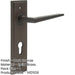 Elegant Dark Bronze Euro Backplate Door Handle Modern Homes Solid Brass Interior Handle-1
