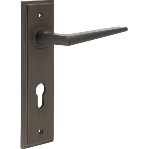 Elegant Dark Bronze Euro Backplate Door Handle Modern Homes Solid Brass Interior Handle