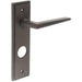 Luxurious Dark Bronze Bathroom Door Handle with Backplate Solid Brass Interior Handle