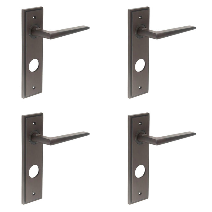 PACK Luxurious Dark Bronze Bathroom Door Handle with Backplate Solid Brass Interior Handle