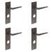 PACK Luxurious Dark Bronze Bathroom Door Handle with Backplate Solid Brass Interior Handle