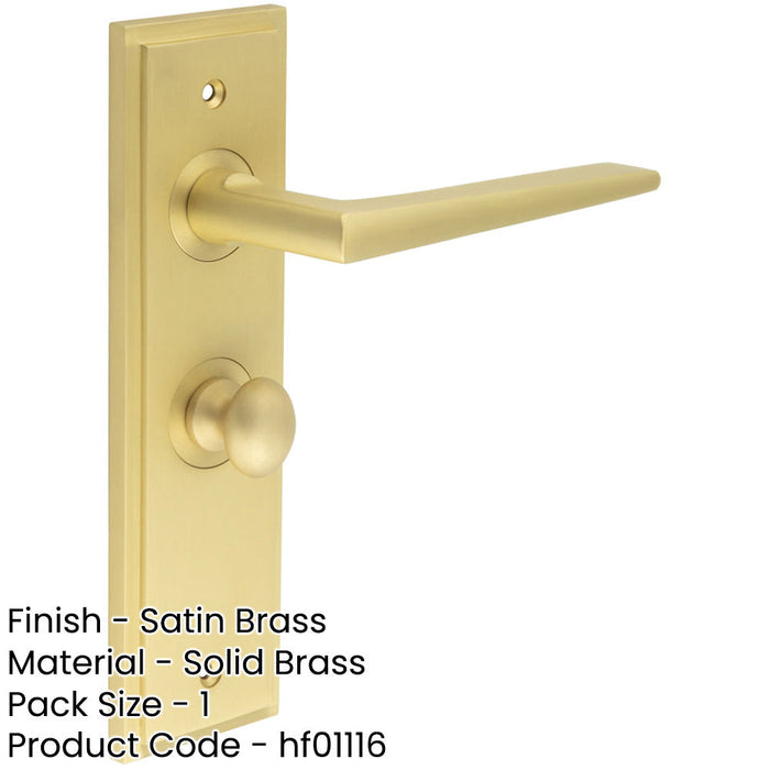 Luxury Satin Brass Door Handle with Backplate Bathroom Solid Brass Interior Handle-1