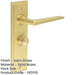 Luxury Satin Brass Door Handle with Backplate Bathroom Solid Brass Interior Handle-1